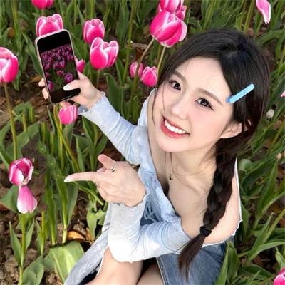 大象与小蝶物语